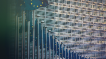 How long does a SEPA payment take?